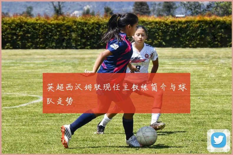 英超西汉姆联现任主教练简介与球队走势