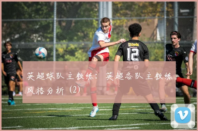 英超球队主教练:英超各队主教练风格分析 (2)